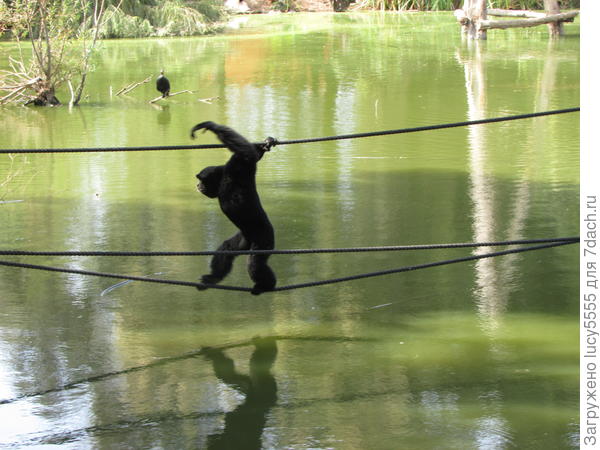 перейти на другой берег - просто!