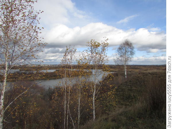 Холодный осенний день