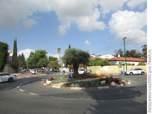 "круговое движение"