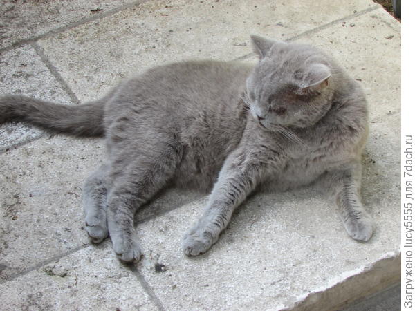 ещё серьёзнее