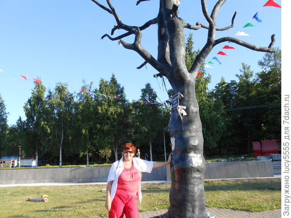 Дерево - УХО