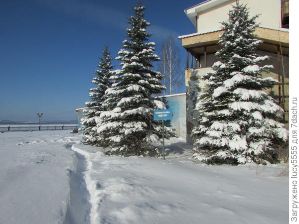 граница пляжа