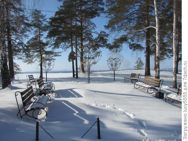 на потребу публике построено дерево для замочков