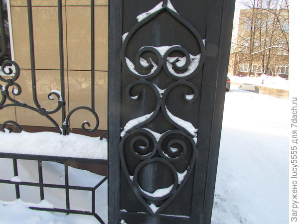 я вижу сову