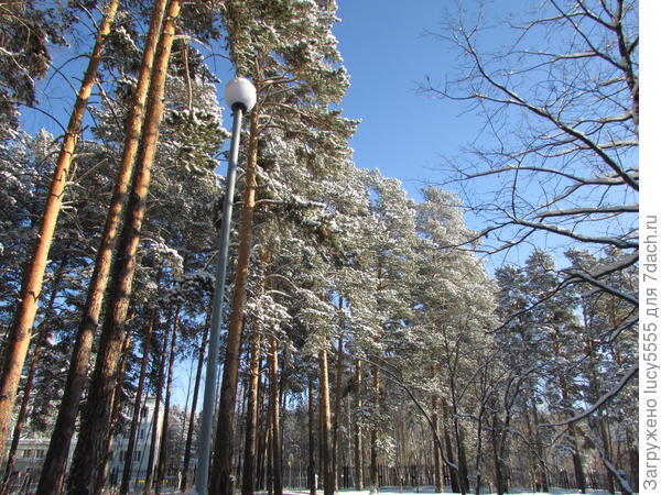 сказочно