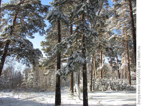 стайками