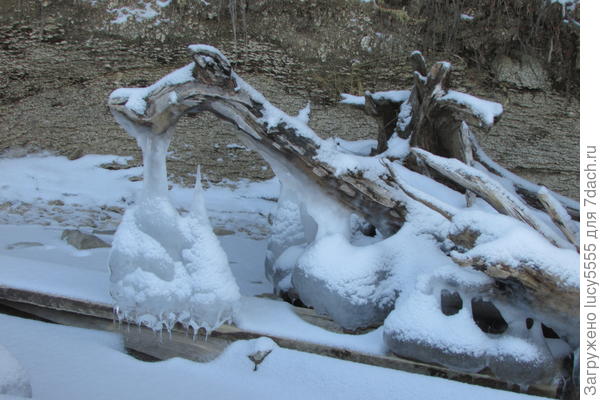 и даже дракончик