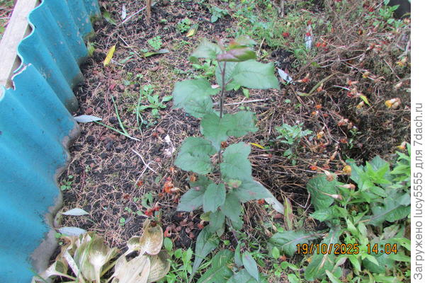 неопознанный объект