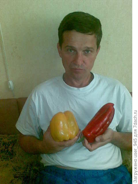 Еле уговорила мужа попазировать для наглядности