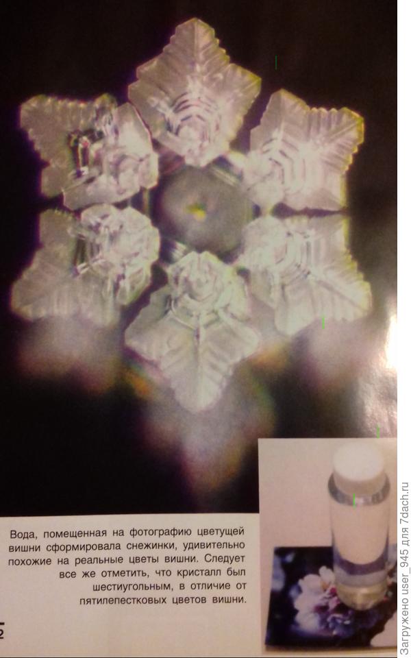 Одно из фото