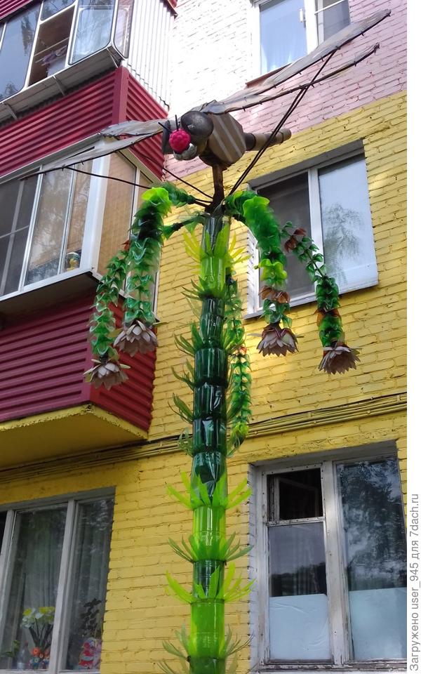 Стрекоза