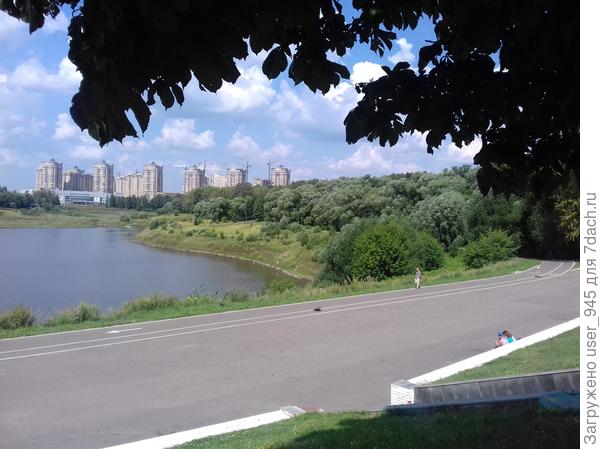 Дорожки