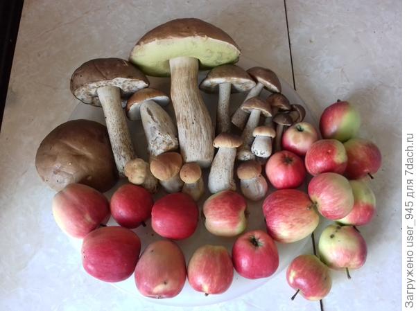 Мой сегодняшний улов!