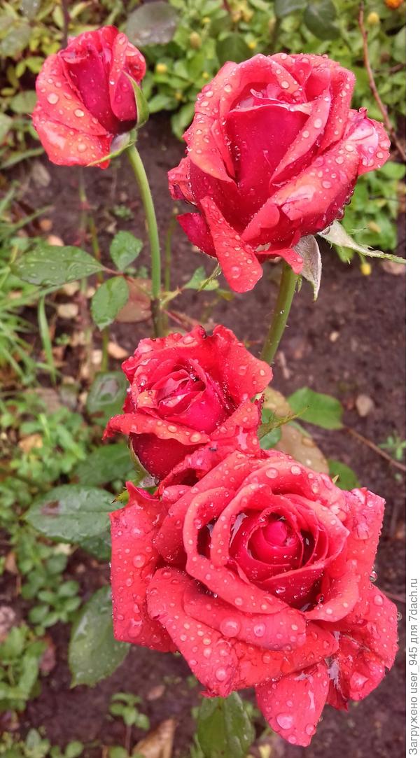 Будте также прекрассны в любую жизненную погоду!)))