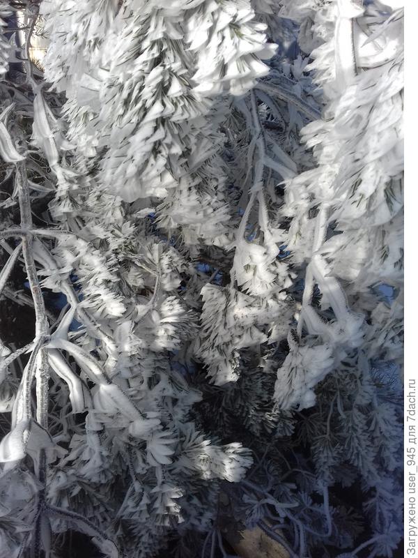 Это на второй день еще раз сходила посмотреть, правда пар очень мешал, приходилось ловить моменты