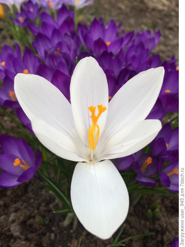 Красивой девушке и замечательному человеку)))