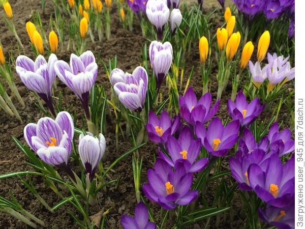 С Днем Рождения и началом Весны)))