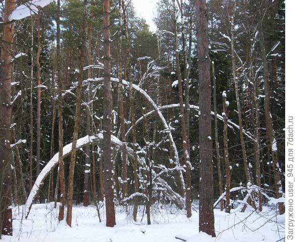 Искала красивые виды))