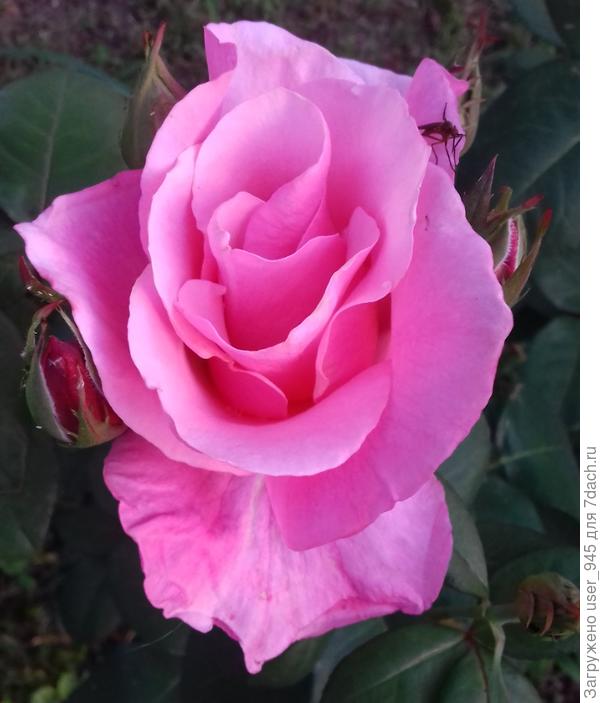 Поздравляю!)))