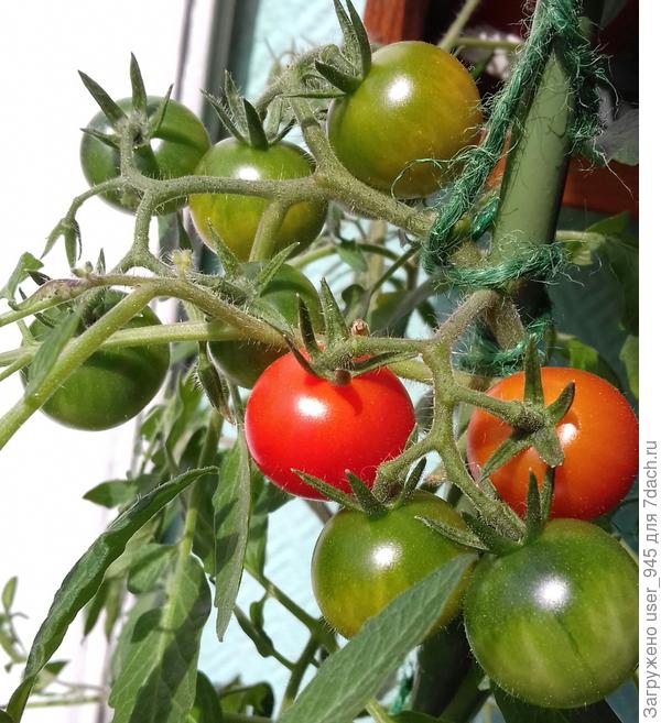 А это сегодня)))))