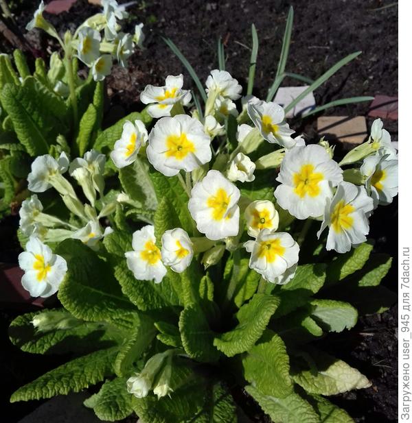 Поздравляю!