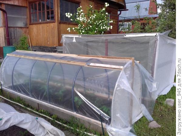 Дуги из очень жесткого шланга и металлических трубок вместо колышков