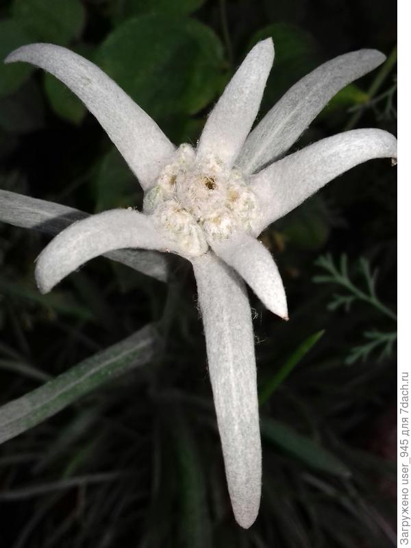 Удивительное всегда рядом)))