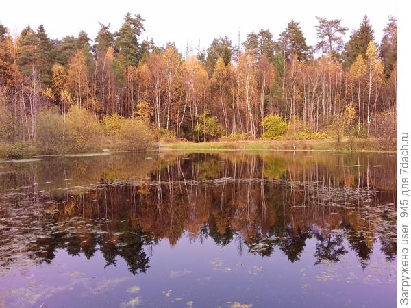 И красота всегда будет вокруг Вас!)))