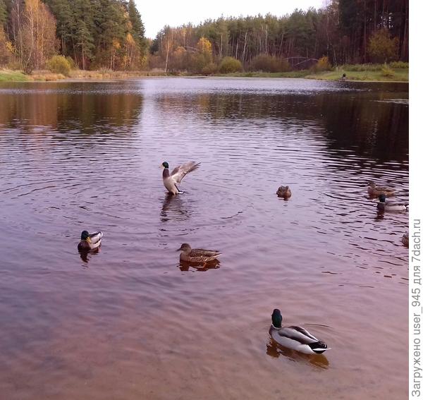 Пусть желание полета всегда будет в Вашей душе! И пусть близкие и окружающие Вас люди всегда поддерживают во всем!
