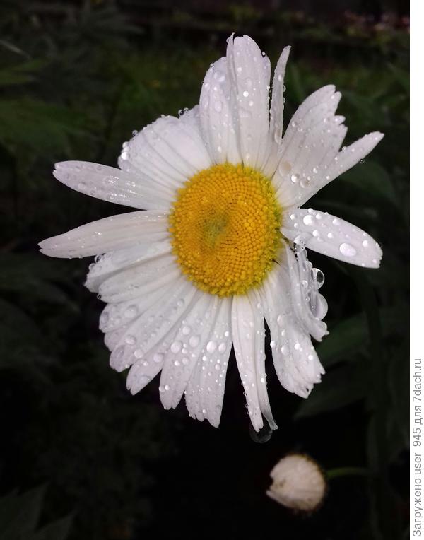 С юбилеем!)))))