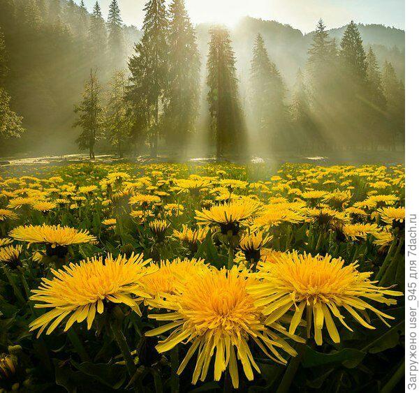 Счастья тебе!!!