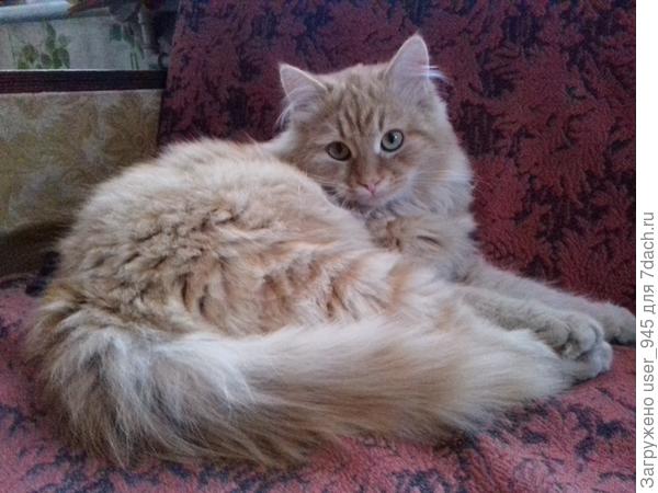 Рыжего теперь сестра и племянник зафоткали)))