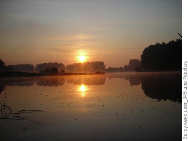 Дочка в походе сняла))