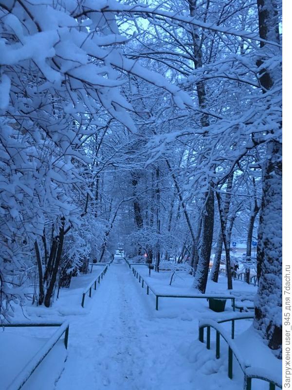 Сказка утром))