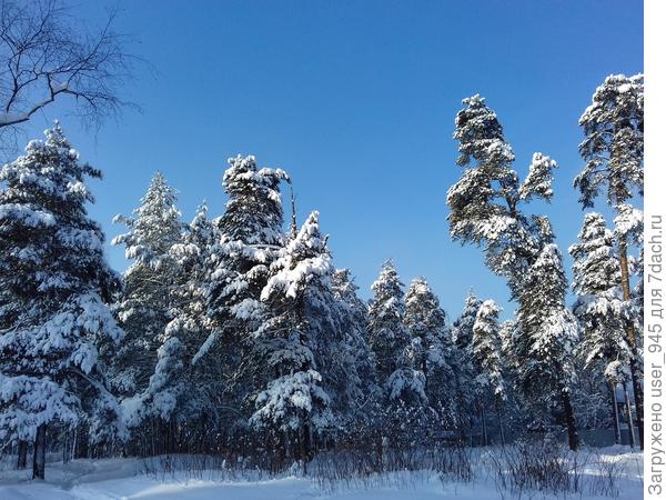 Мороз и солнце)))
