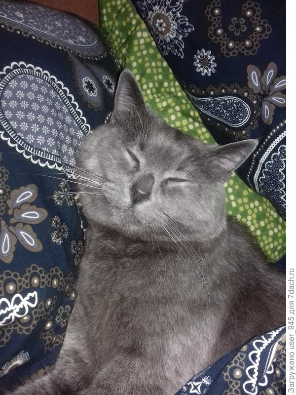 Кто первой успеет, та и спит со мной))