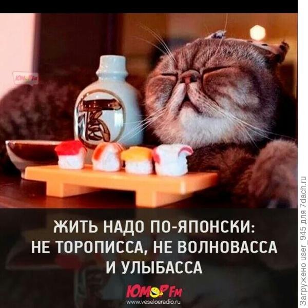 Пожелания от Баськи и Муськи)))