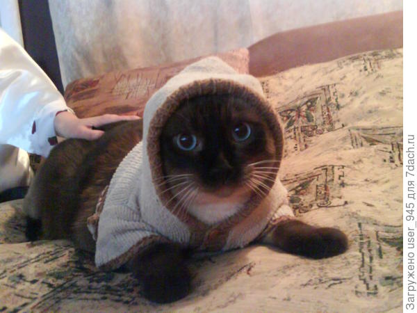 Филя фотомодель))