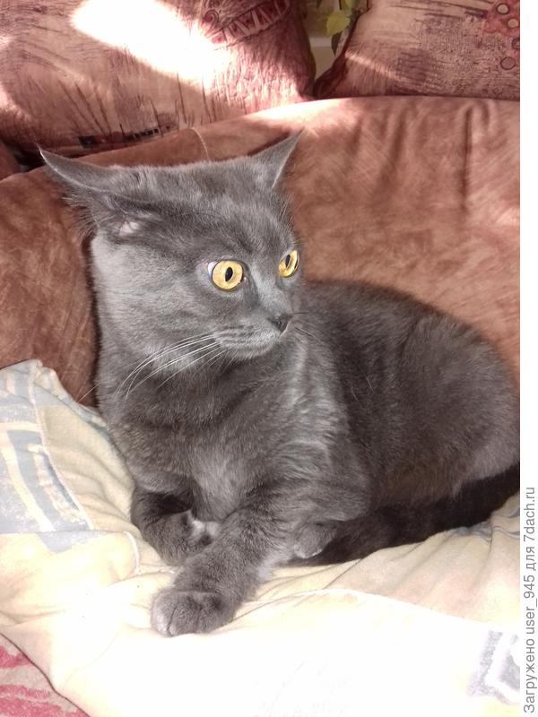 Очередной испуг))