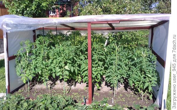 Сверху кусок старого карбоната немного темноват, прошлое лето правда плёнку пришлось часто опускать.