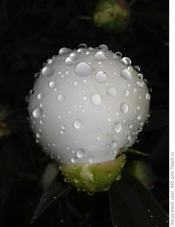 Вдохновения во всех начинаниях)))))