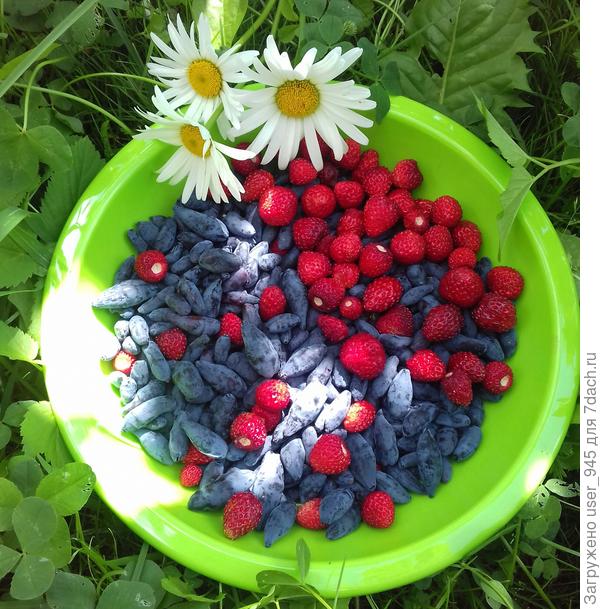 Ну и первые ягоды на даче)))