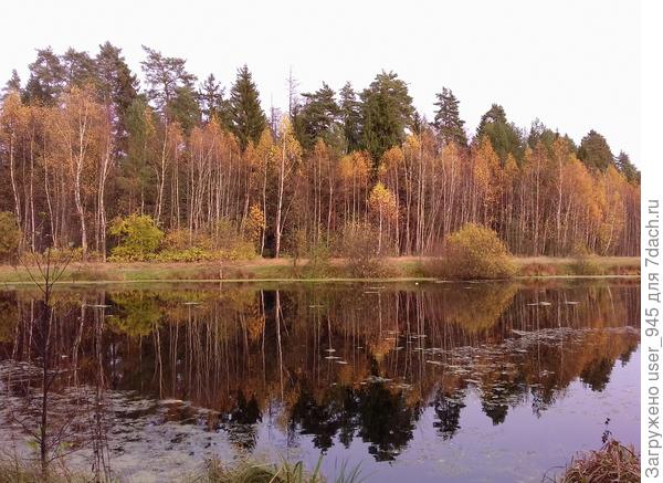 Осень и зазеркалье.