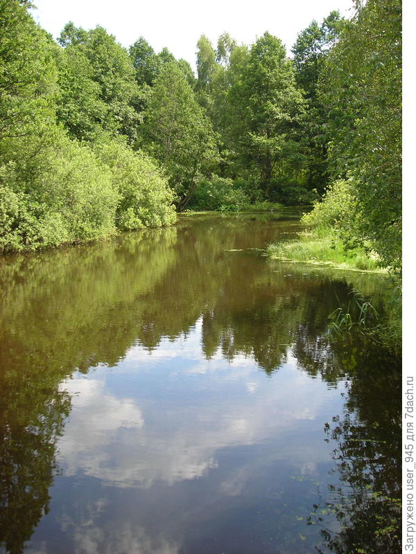 Самое широкое место ручья-речушки, а дальше дебри))