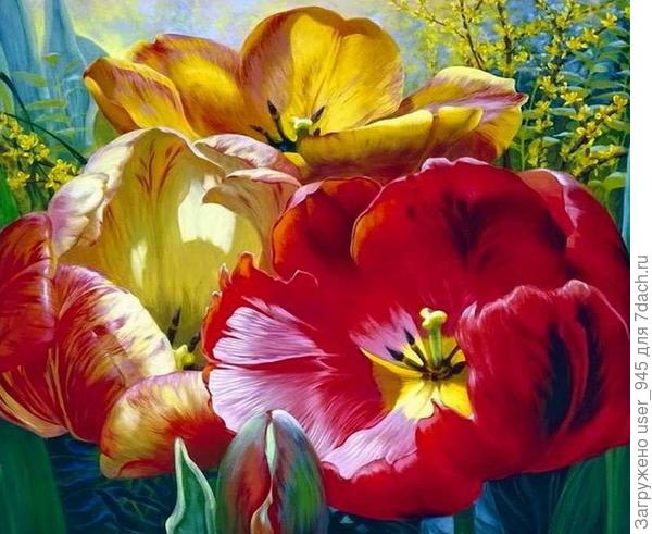 С Днём Рожденья!)))