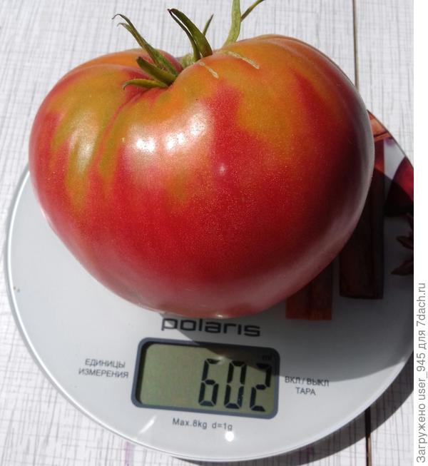 Пока не попробовали, муж завтра ждёт друзей, решил похвастаться:)))