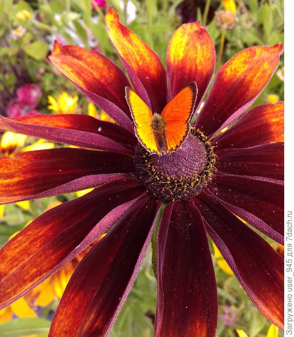 Моё поздравление тёзкам)))