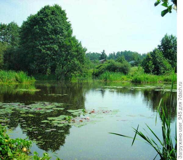 Тихая заводь)