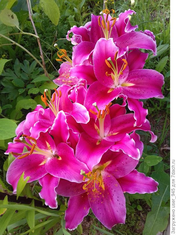 Будь счастлива!)))