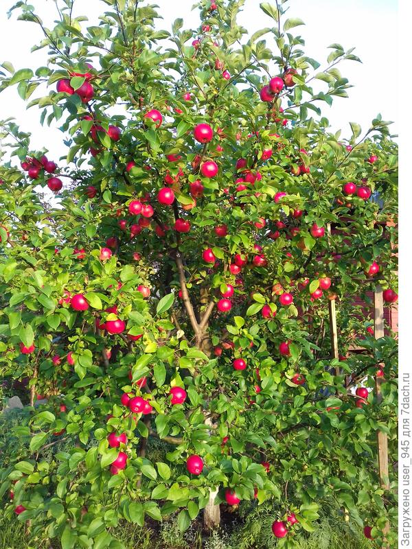 Море положительных эмоций от созерцания;))))